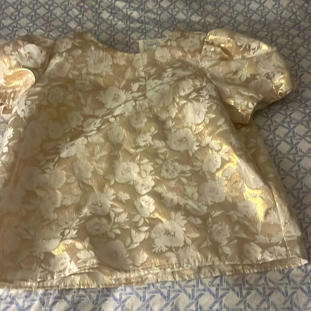 Jcrew festive top